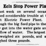Clipping Clarion 1919-09-18 Pg 4 Eels Stop Electric