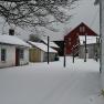 2021-02-01_JAK_0906