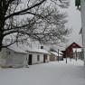 2021-02-01_JAK_0910