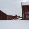 2021-02-07 Zentz Farm Snow Scenes