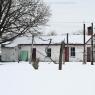 2021-02-07 Zentz Farm Snow Scenes