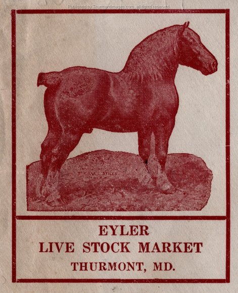 Eyler Live Stock Market 002B JAK