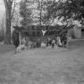 Mt_Carmel_Church_Nativity_1957_002_JAK