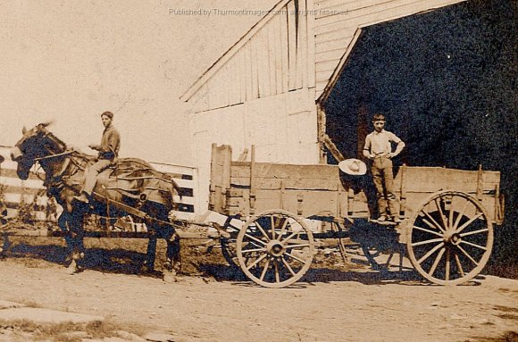 Websters Farm Barn Mule Wagon 1910 001B JAK