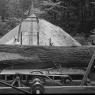 Hoke Wood Products
