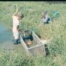 HCF Cleaning Catchbox 1968