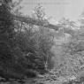 Beck Images