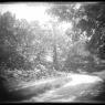 Beck Images