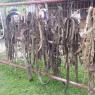 2015-04-25 Zentz Farm Tool Sale