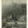 Thurmont Images B