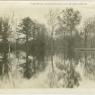 Thurmont Images