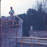 Thurmont Industries